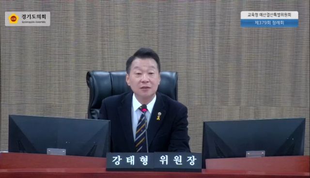 강태형 경기도교육청 예결특위 위원장. 경기도의회 인터넷화면 갈무리
