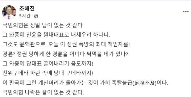 국민의힘 소속 조해진 전 의원 페이스북 캡처.