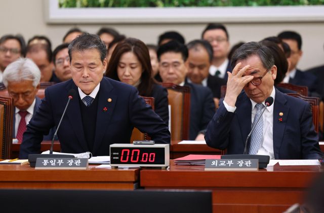 조태열 외교부 장관과 김영호 통일부 장관이 16일 국회에서 열린 외교통일위원회 전체회의에 참석해 있다. 연합뉴스