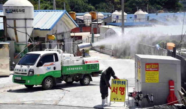 양주시 아프리카돼지열병 방역현장. 경기일보DB