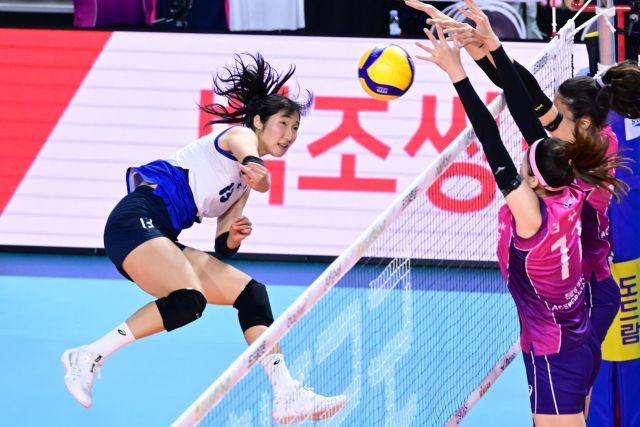 ‘도드람 2024-2025 V리그’ 여자부에서 14연승으로 선두를 달리고 있는 인천 흥국생명이 이번 주 연승행진의 분수령이 될 대전 정관장, 수원 현대건설과 잇따라 대결한다. 사진은 지난 2라운드 현대건설과의 경기 모습.KOVO 제공