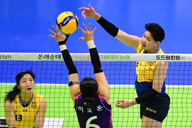 V리그 여자부 선두 인천 흥국생명과 2위 수원 현대건설이 20일 시즌 3번째 맞대결을 펼친다.KOVO 제공