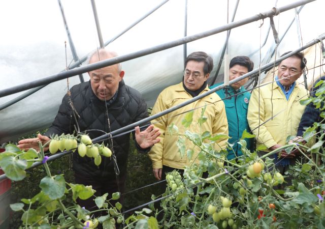 2일 오전 김동연 도지사가 정장선 평택시장 홍기원 국회의원 등과 함께 평택 비닐하우스 대설피해지역을 현장방문해 피해현장 확인을 하고 있다. 경기도 제공
