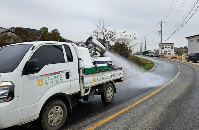 강화옹진축협 공동방제단이 강화군 해안남로에서 소독방제차량으로 소독을 하고 있다. 인천시 제공