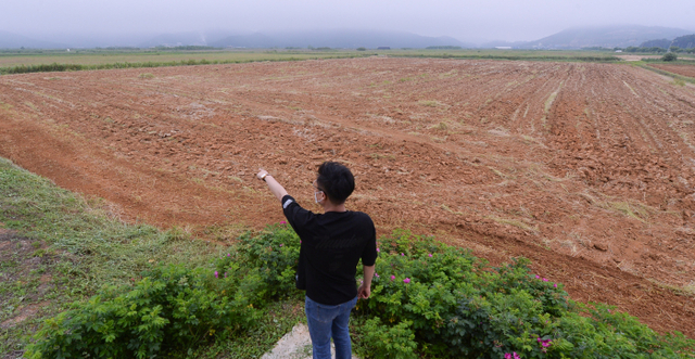백령공항 예정 부지인 인천 옹진군 백령면 솔개지구 전경. 경기일보 DB