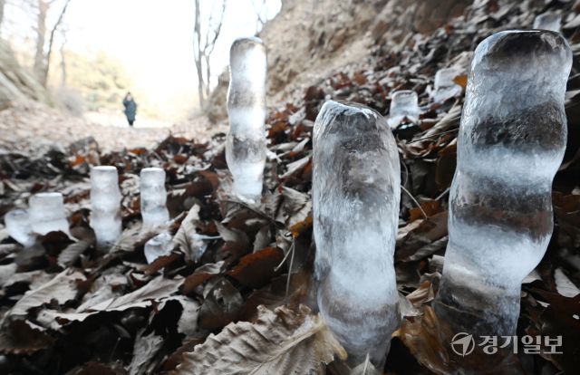 12일 인천 부평구 산곡동의 한 토굴에 땅에서 시작해 위로 올라가는 '역고드름'이 자라고 있다.조병석기자