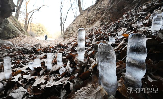 12일 인천 부평구 산곡동의 한 토굴에 땅에서 시작해 위로 올라가는 '역고드름'이 자라고 있다.조병석기자