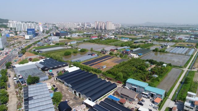 인하대 김포메디컬캠퍼스가 들어설 풍무역세권개발 부지. 김포시 제공