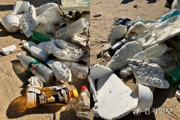인천 해변 쓰레기 이미지로 기사 본문과 구체적인 관련 없음. 경기일보 DB