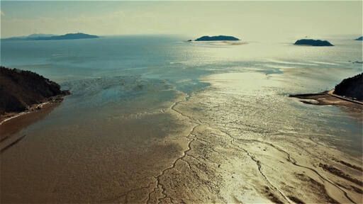 인천 갯벌. 경기일보DB