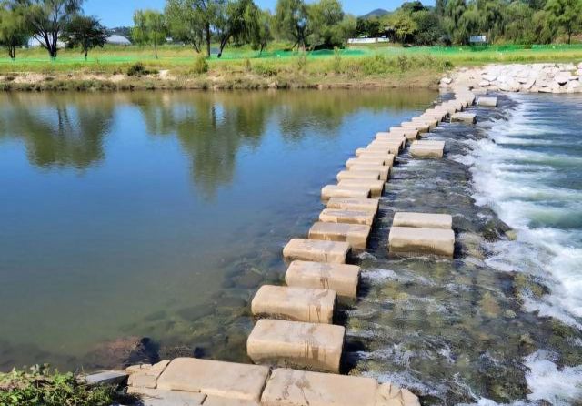 성남 탄천 수내교 일대. 성남시 제공