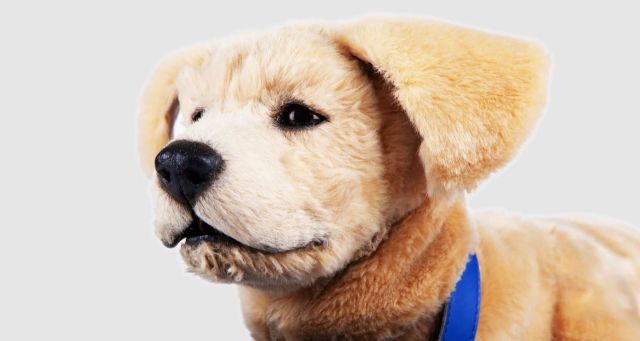 미국 톰봇의 로봇 강아지 ‘제니’. 톰봇