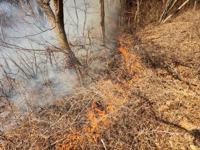 인천시 옹진군 덕적도 야산 화재 현장. 연합뉴스