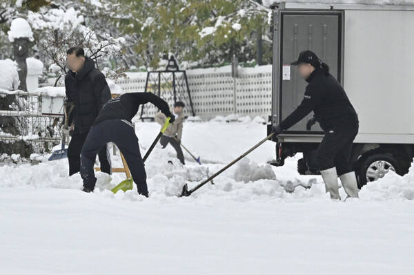 기사와 관련 없는 자료사진. 경기일보DB