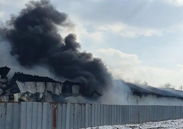 김포 돈사 화재로 발생한 검은 연기. 김포소방서 제공