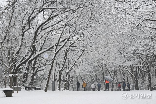 대설주의보가 내려진 5일 인천시대공원을 찾은 시민들이 설경을 즐기고 있다. 조병석기자