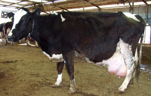 사진은 기사와 직접 관련 없음. 경기일보DB