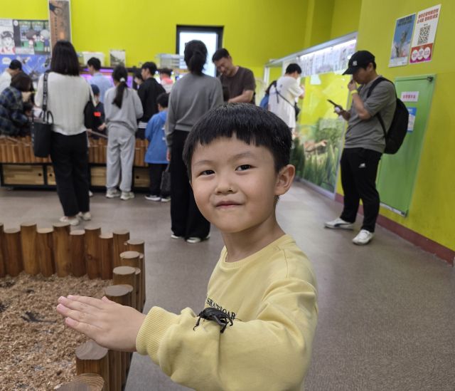 여주곤충박물관에서 11일 오전 ‘석주명과 나비의 이름들’ 특별전이 개최되고 있는 가운데 대전에서 박물관을 찾은 박세이군이 곤충을 자신의 팔에서 움직이는 것을 보고 좋아하고 있다. 유진동기자