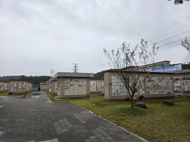 A씨의 시신이 안치될 장지의 모습. 독자 제공