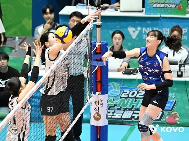 2025-26시즌 프로배구 V리그가 18일 개막하는 가운데 6개월간 열전을 벌인다. KOVO 제공