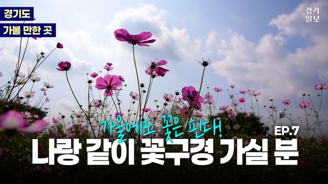 2025-경기도-가볼만한-곳-썸네일-(롱폼)