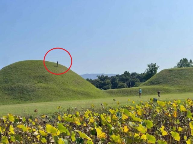 경북 경주 신라 고분 위에 아이가 올라가 있고, 아버지로 보이는 사람이 그 모습을 촬영한 사진이 공개돼 논란이 일고 있다. 서경덕 교수 페이스북 갈무리