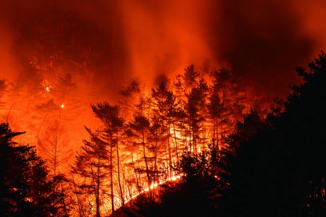 새빨간 화염으로 뒤덮인 산. 경기일보DB