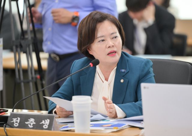 조국혁신당 정춘생 비례의원. 윤원규기자