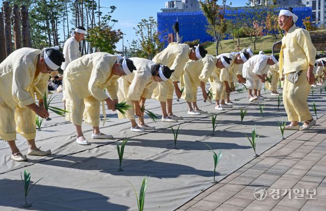 22일 오전 수원특례시 국립농업박물관(관장 오경태)에서 열린 '벼베기 체험 행사'에서 홍성결성농요보존회가 지역 무형유산인 결성농요 공연을 선보이고 있다. 김시범기자