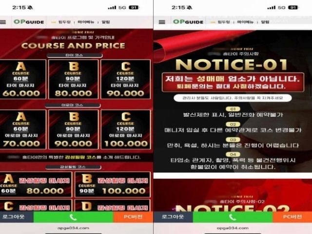 인터넷과 전단지 등을 통해 '출장 마사지'로 위장한 성매매 알선. 서울경찰청 풍속범죄수사팀 제공