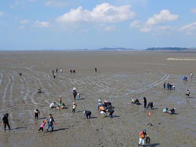 포천시는 화성시 궁평어촌체험마을에서 ‘드림스타트 갯벌체험 프로그램’을 운영하며 아동의 정서 안정과 가족 간 유대 강화의 시간을 마련했다. 포천시 제공