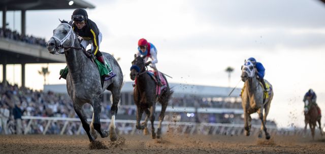 닉스고의 모습. 한국마사회 제공
