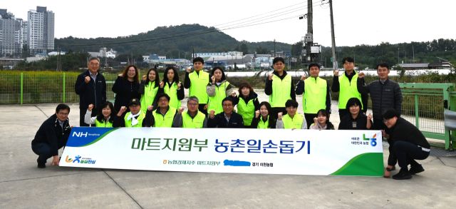 이천농협이 임직원과 농협경제지주 마트지원부가 함께 농촌일손돕기를 펼쳤다. 이천농협 제공