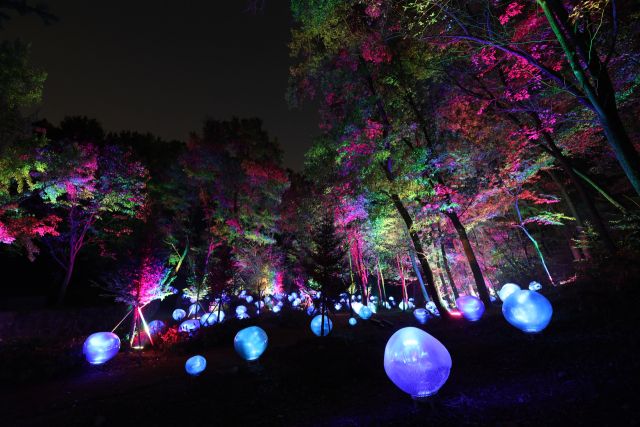 형형색색의 복사꽃 씨앗이 빛나는 도화씨 구간 전경. 부천시 제공