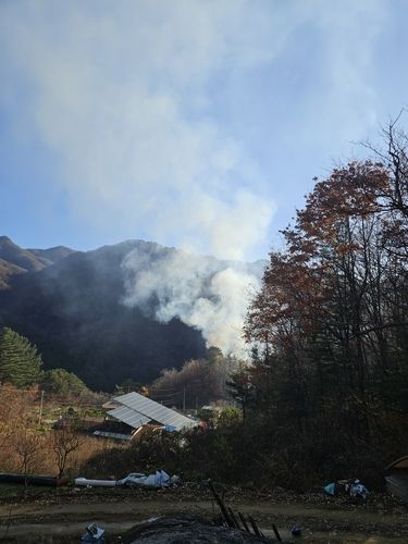 가평군 북면 적목리 야산 화재현장. 산림청 제공