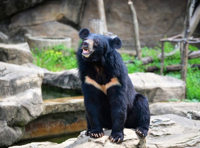 화면 캡처 2025-11-11 100032