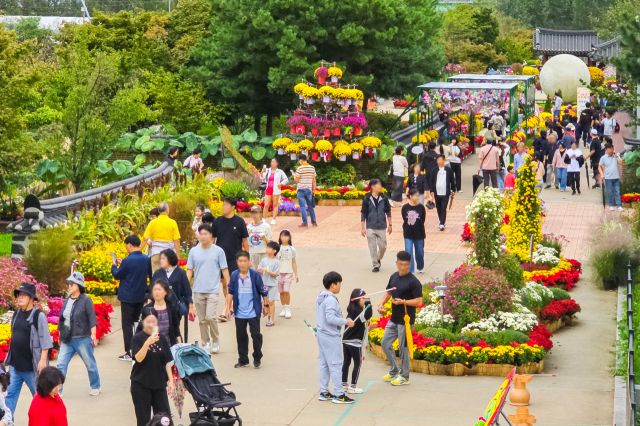 방문객들이 ‘2025년 가을꽃 국화·백일홍 축제’를 즐기고 있다. 인천 계양구 제공
