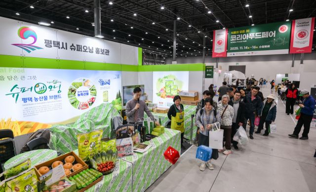 15일 ‘2025 코리아푸드페어(구 대한민국 명품특산물 페스티벌)’ 평택시 부스에서 관람객들이 주사위 게임을 체험하고 있다. 홍기웅기자