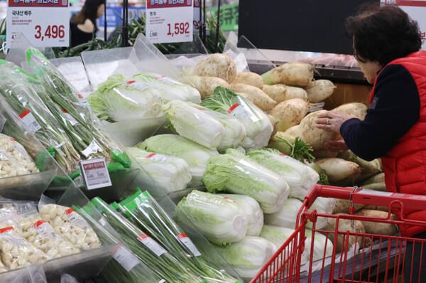 지난 2일 서울의 한 대형마트에서 시민이 장을 보고 있다. 연합뉴스