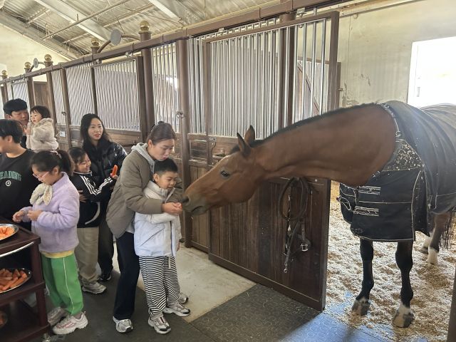 15일 화성 발리오스 승마장에서 열린 ‘마주(馬走)하는 승마교실’에서 참가자들이 말과 교감을 하고 있다. 도체육회 제공