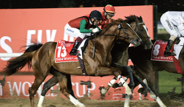 2019년 3월 두바이월드컵 결승에 진출한 국산 경주마 ‘돌콩’의 모습. 한국마사회 제공