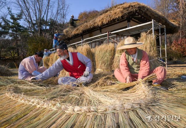 절기상 소설을 사흘 앞둔 19일 오후 용인특례시 한국민속촌에서 직원들이 초가지붕에 올릴 용마름과 이엉을 얹고 있다. 윤원규기자