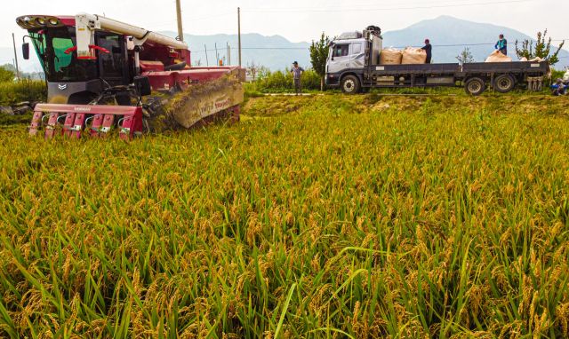 기사의 이해를 돕기 위한 이미지로 직접적 연관은 없습니다. 경기일보DB