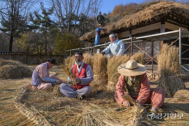 절기상 소설을 사흘 앞둔 19일 오후 용인특례시 한국민속촌에서 직원들이 초가지붕에 올릴 용마름과 이엉을 얹고 있다. 윤원규기자