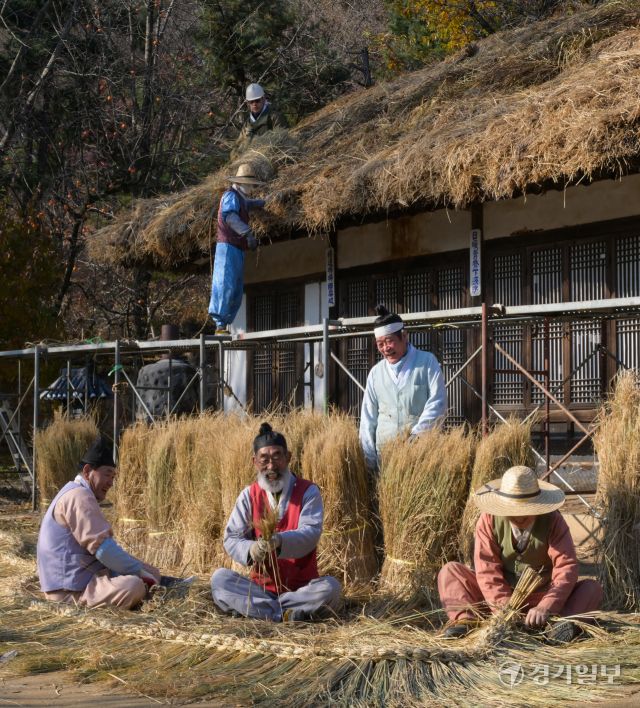 절기상 소설을 사흘 앞둔 19일 오후 용인특례시 한국민속촌에서 직원들이 초가지붕에 올릴 용마름과 이엉을 얹고 있다. 윤원규기자