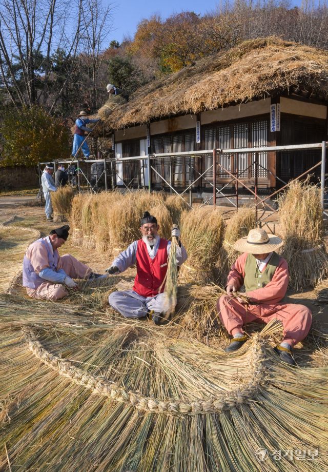 절기상 소설을 사흘 앞둔 19일 오후 용인특례시 한국민속촌에서 직원들이 초가지붕에 올릴 용마름과 이엉을 얹고 있다. 윤원규기자