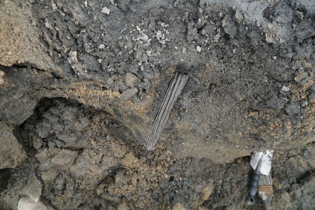 '기묘년' 글자가 적힌 목간 출토 당시 모습. 연합뉴스