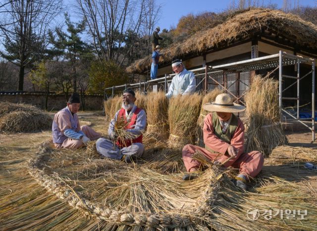 절기상 소설을 사흘 앞둔 19일 오후 용인특례시 한국민속촌에서 직원들이 초가지붕에 올릴 용마름과 이엉을 얹고 있다. 윤원규기자