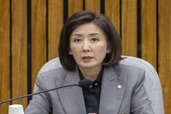 국민의힘 나경원 의원. 연합뉴스