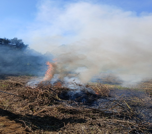 안성시가 영농 부산물에 대한 불법 소각을 집중 단속한다. 사진은 영농 부산물 소각현장. 안성시 제공